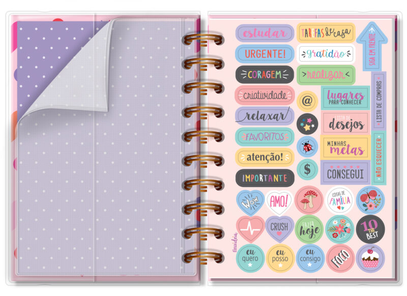 Agenda P Fun - Image 2