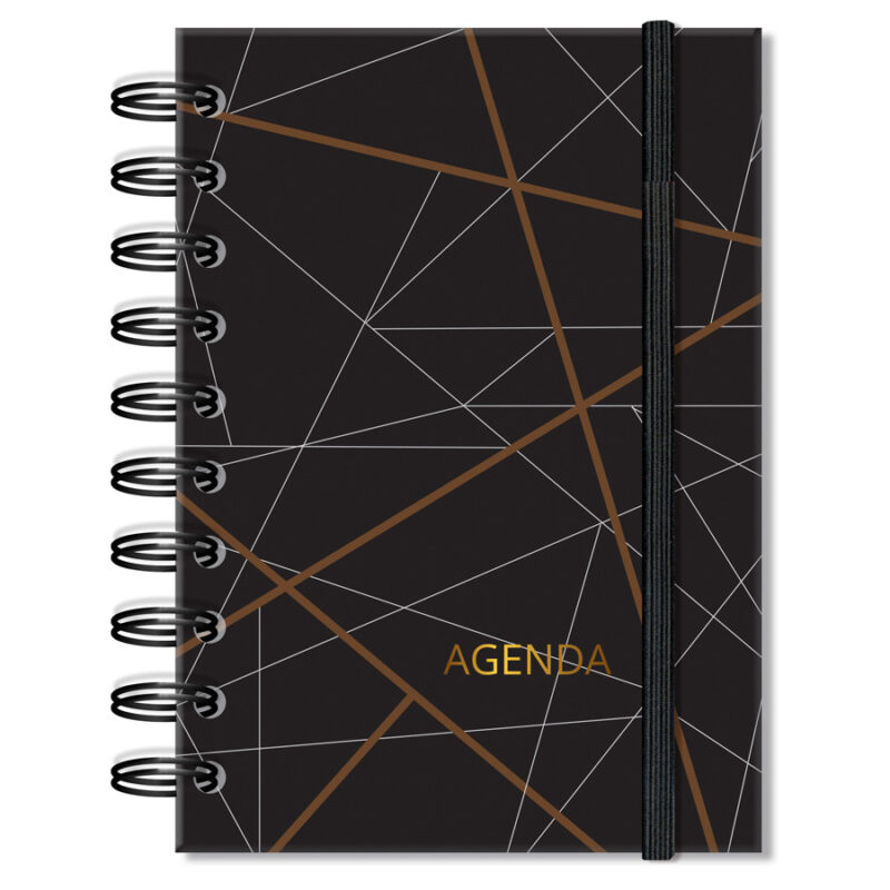 Agenda P Geométrico